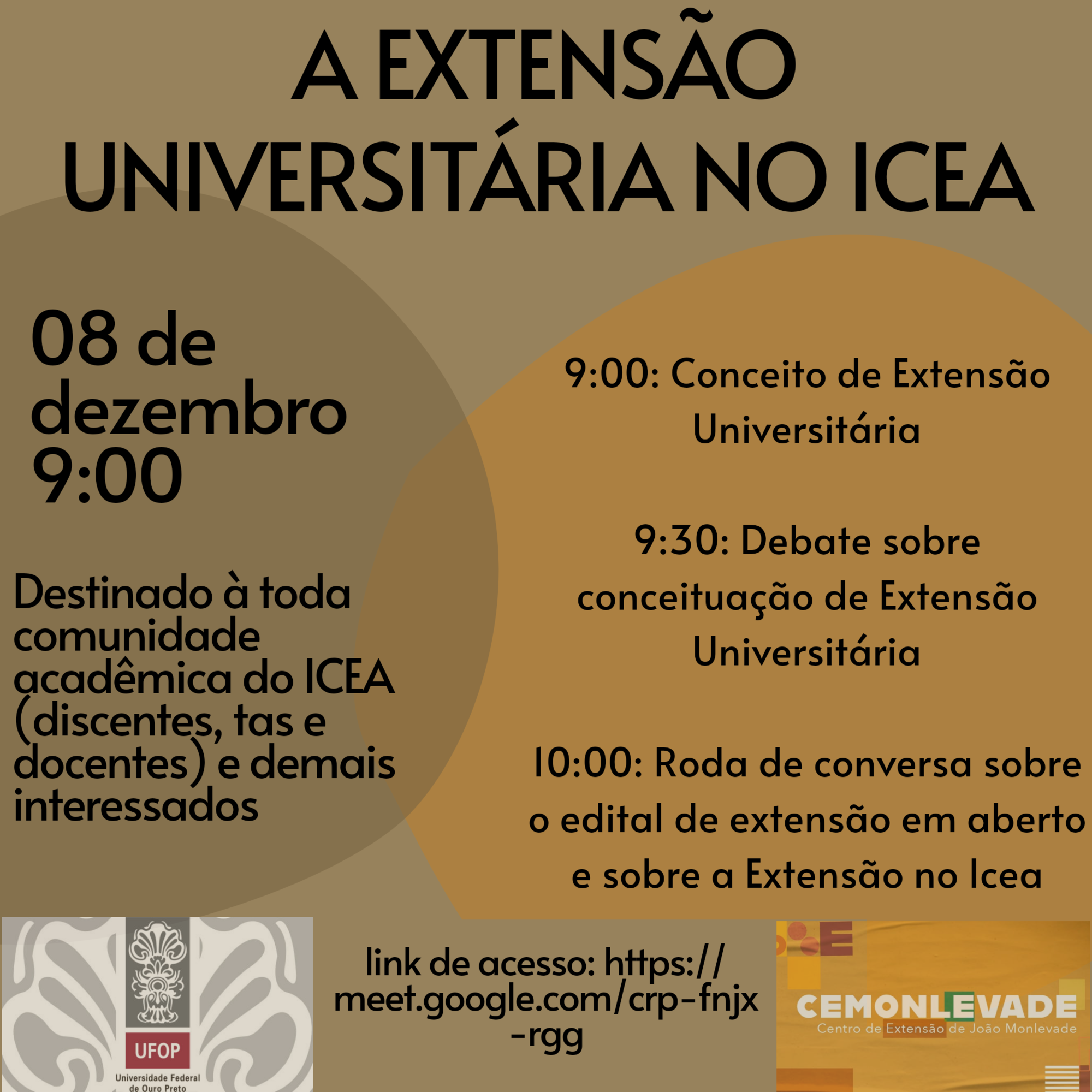 A extensão universitária no icea A extensão universitária no icea