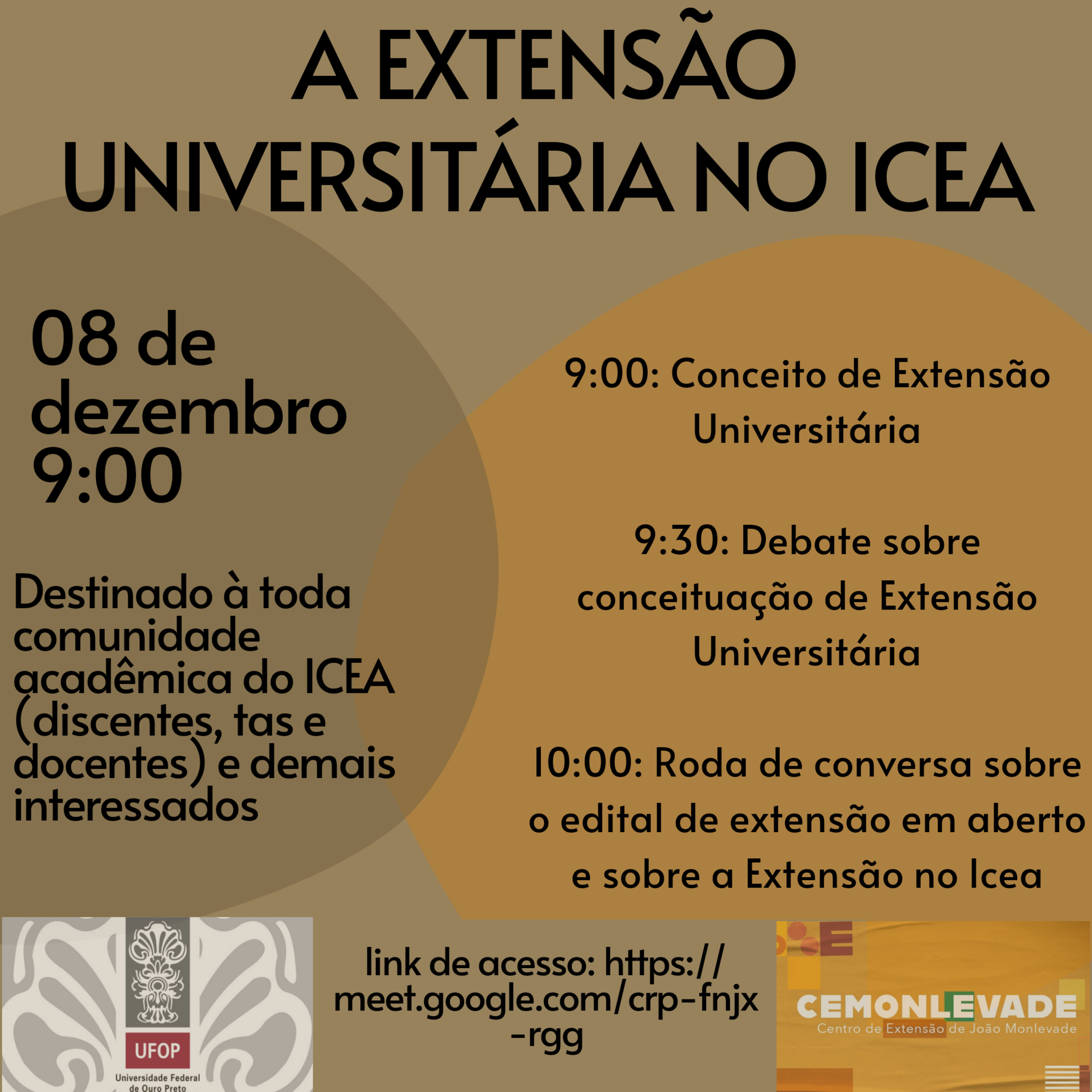 A extensão universitária no icea